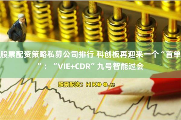 股票配资策略私募公司排行 科创板再迎来一个“首单”：“VIE+CDR”九号智能过会